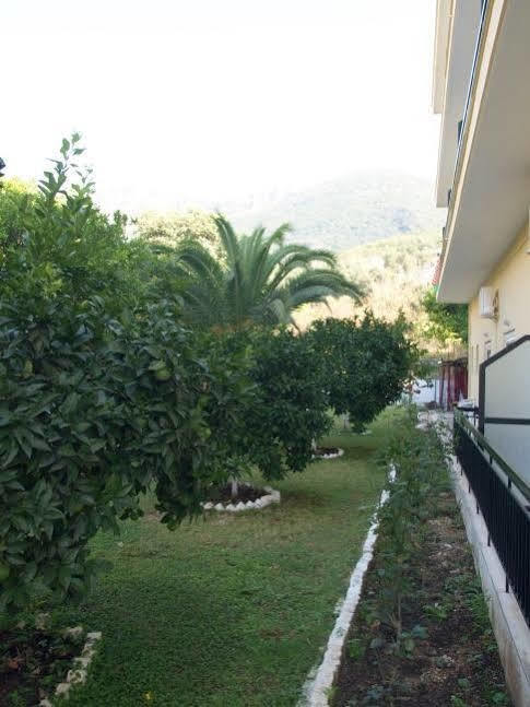 Hotel Galini Parga Exteriér fotografie